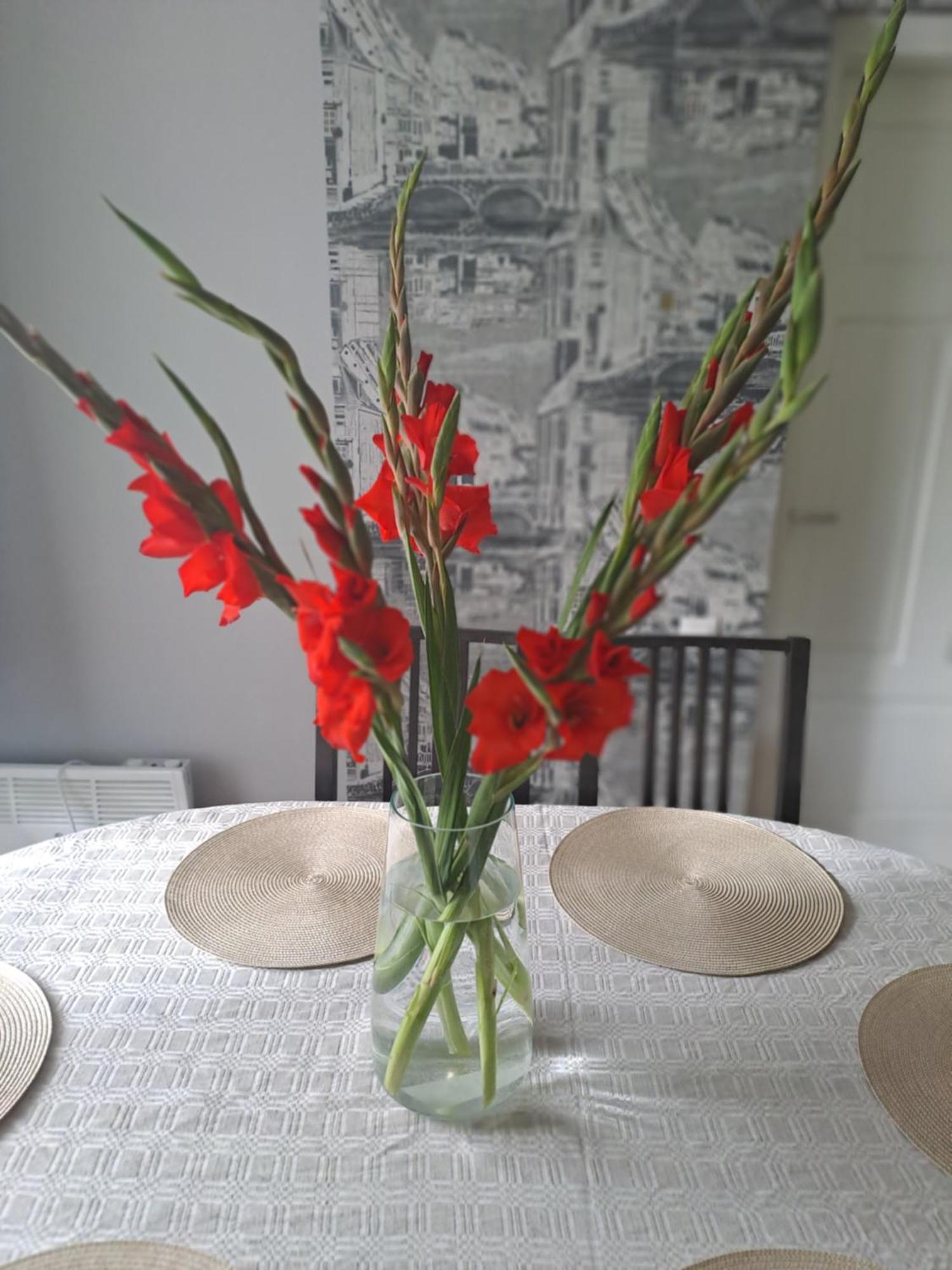 Kica Kroga Apartaments Ainaži 外观 照片